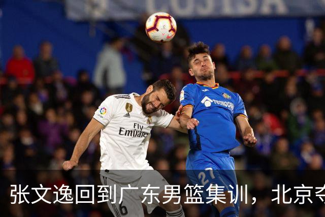 张文逸回到广东男篮集训，北京夺冠功勋确定退役，上海欲续约弗格
